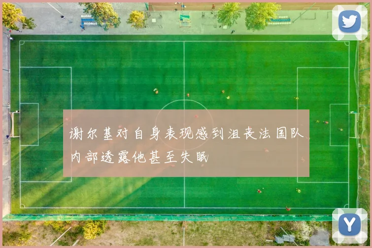 谢尔基对自身表现感到沮丧法国队内部透露他甚至失眠